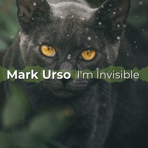 I'm Invisible