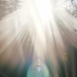 After the Dust Settles