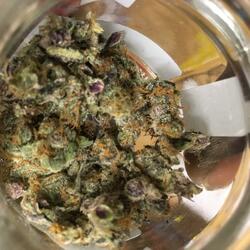 Mdhg Skittzo(m.D.H.G.)