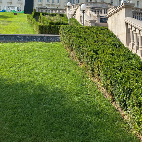 Învață-mă