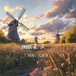 风吹麦浪