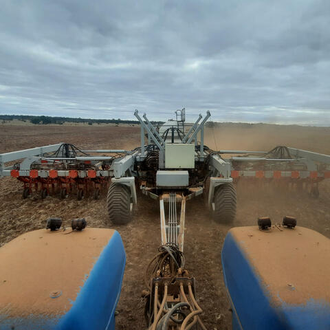 Seeding Time