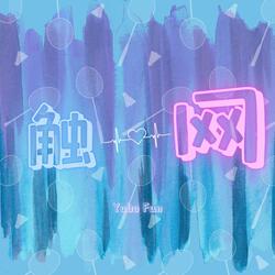 触网
