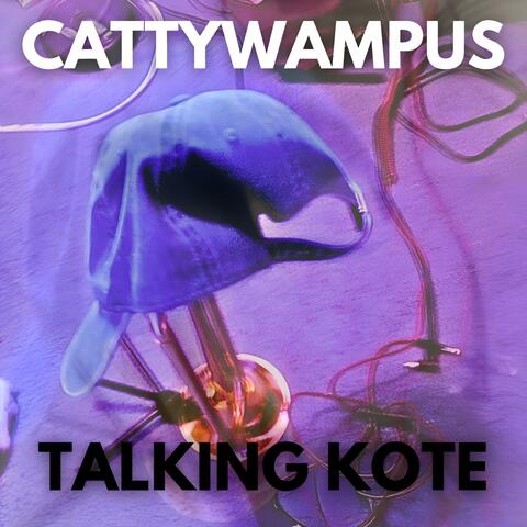 CATTYWAMPUS