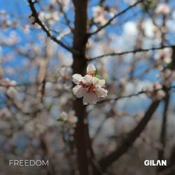 FREEDOM