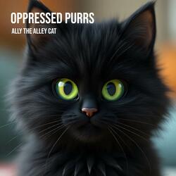 Ally The Alley Cat