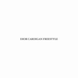DIOR CARDIGAN FREESTYLE