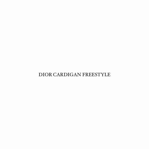 DIOR CARDIGAN FREESTYLE