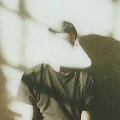 Shadows