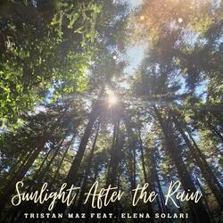 Sunlight After the Rain (feat. Elena Solari)