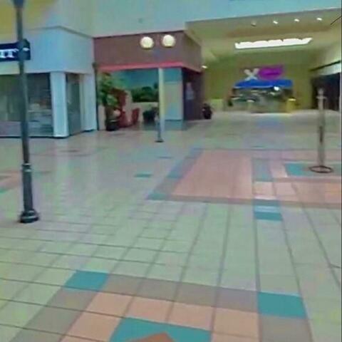 Back to my Roots (B2MR)