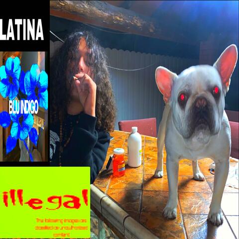 LATINA (feat. Dj blunt)