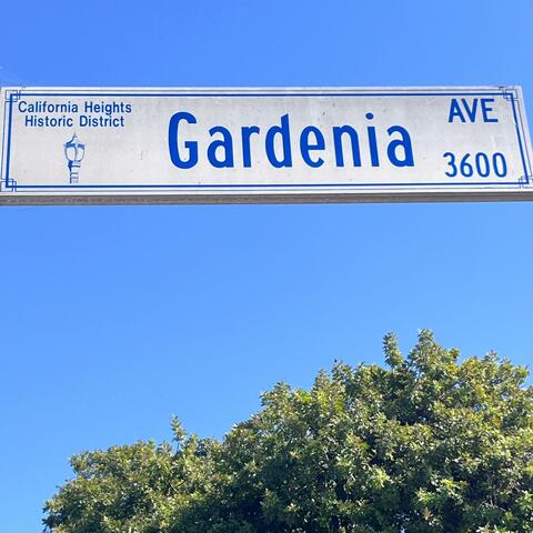Gardenia Ave