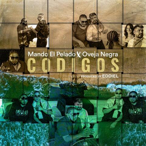 Codigos (feat. Oveja Negra Ec)
