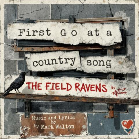 First Go at a Country Song (LIVE - Nashville)