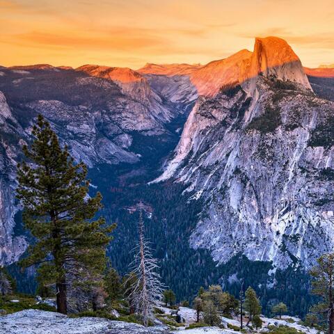 Indian Classical Fusion Meenakshi Jaya Geetham Raag Sriragam