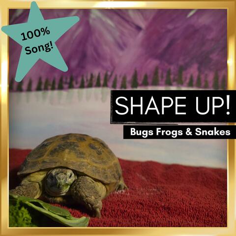 Shape Up!