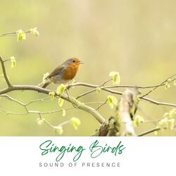 Singing Birds