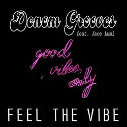 Feel the vibe (feat. Jace Lumi)