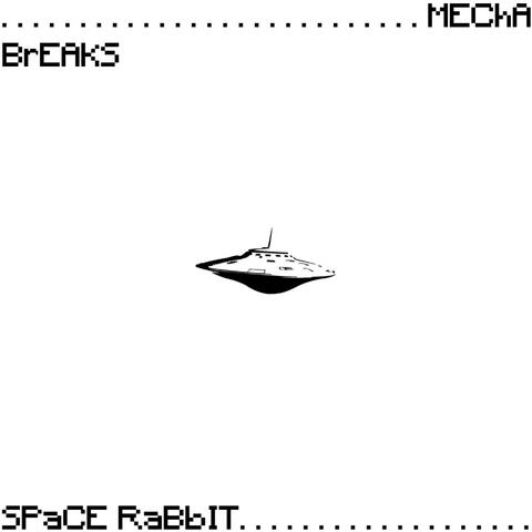 Space Rabbit