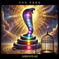 Too Free (feat. Ram Dass)