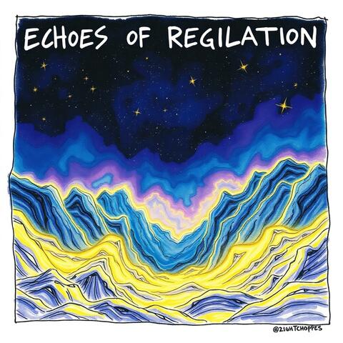 Echoes of Regulation