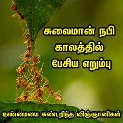 சுலைமான் நபி காலத்தில் பேசிய எறும்பு  Tamil Bayan