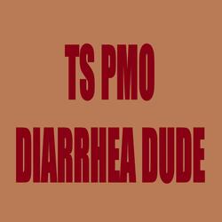 Ts Pmo (Slowed & Reverb)