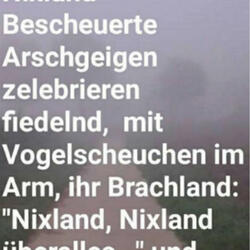NIXLAND