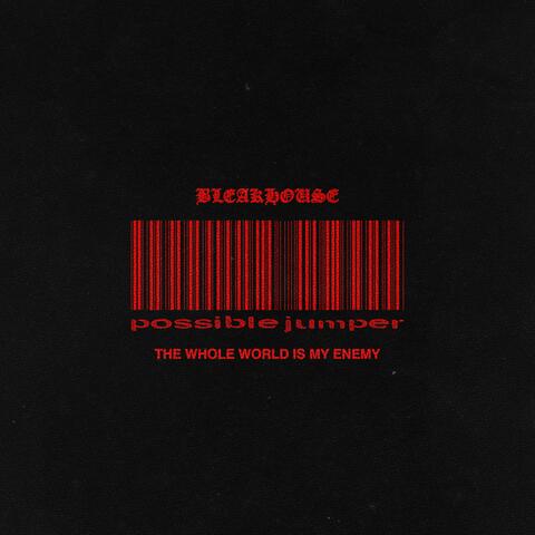 THE WHOLE WORLD IS MY ENEMY