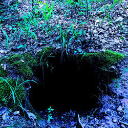 I don't keep love around