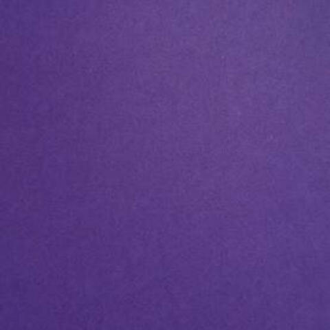 THE COLOR PURPLE