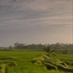 demonlover, (a murmur of) the sun (feat. reverie)