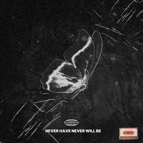 NEVER HAVE, NEVER WILL BE