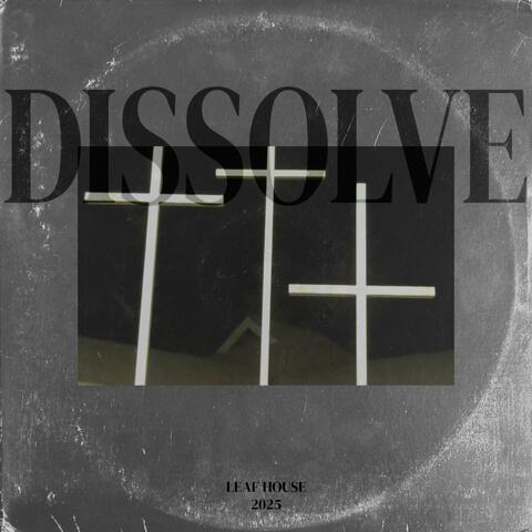 Dissolve