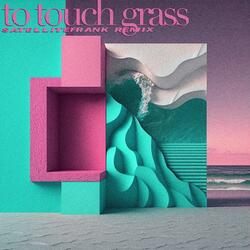 To Touch Grass (SatelliteFrank Remix)