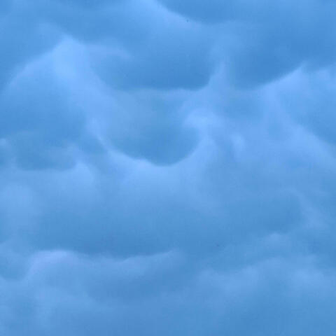 Vibra