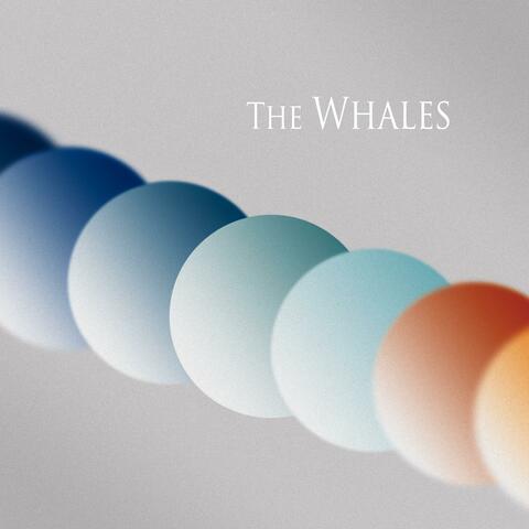 The Whales