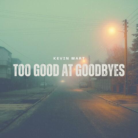 Too Good At Goodbyes