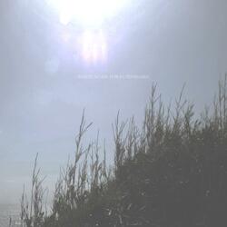 White Noise for Euthanasia