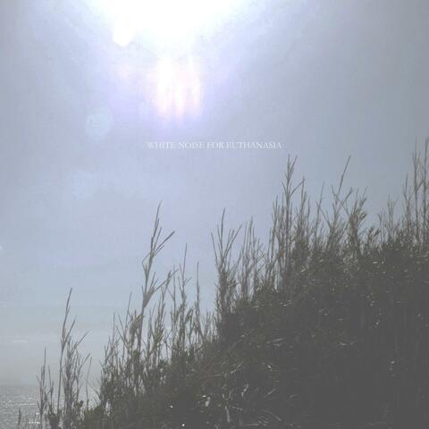 White Noise for Euthanasia