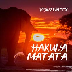 Hakuna Matata (Radio Edit)