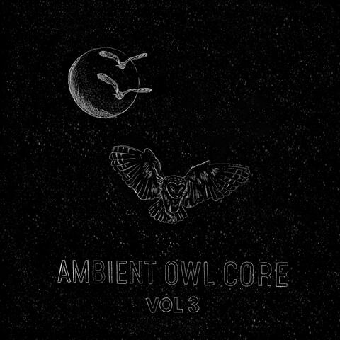 Ambient Owl Core (Vol 3)