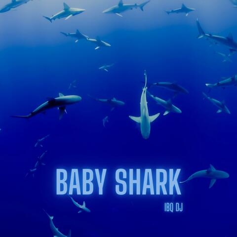 BABY SHARK (Radio Edit)