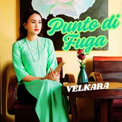 Punto di Fuga