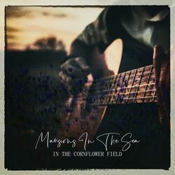 In The Cornflower Field