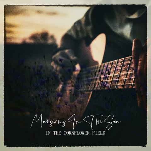 In The Cornflower Field