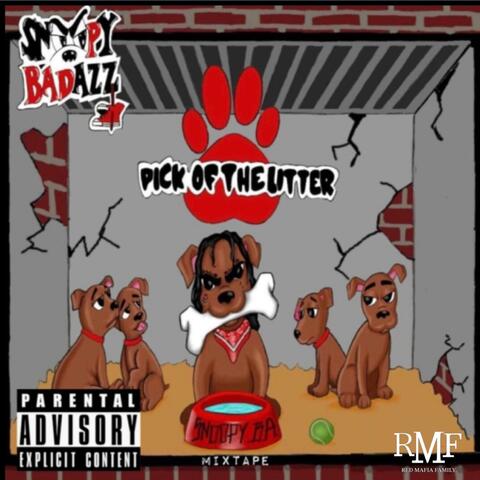Pick of the Litter (Mixtape)