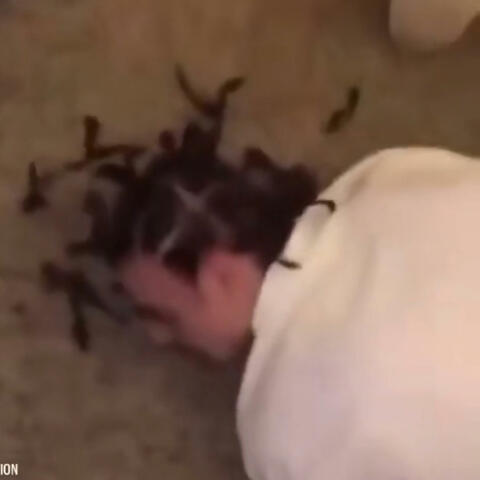 BLEEDINTHETRAP