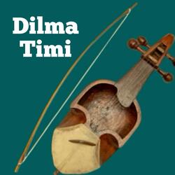 Dilma Timi